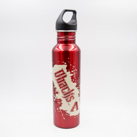 Arizona Diamondbacks 26oz SS Color Water Bot