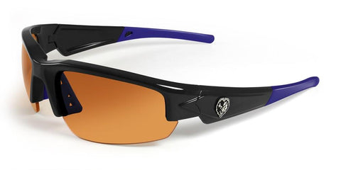 Baltimore Ravens Maxx Dynasty 2.0