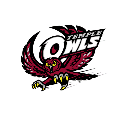 TEMPLE OWLS