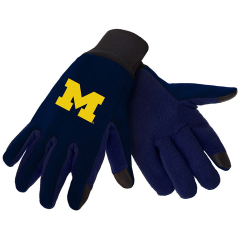 Michigan Wolverines Color Texting Gloves