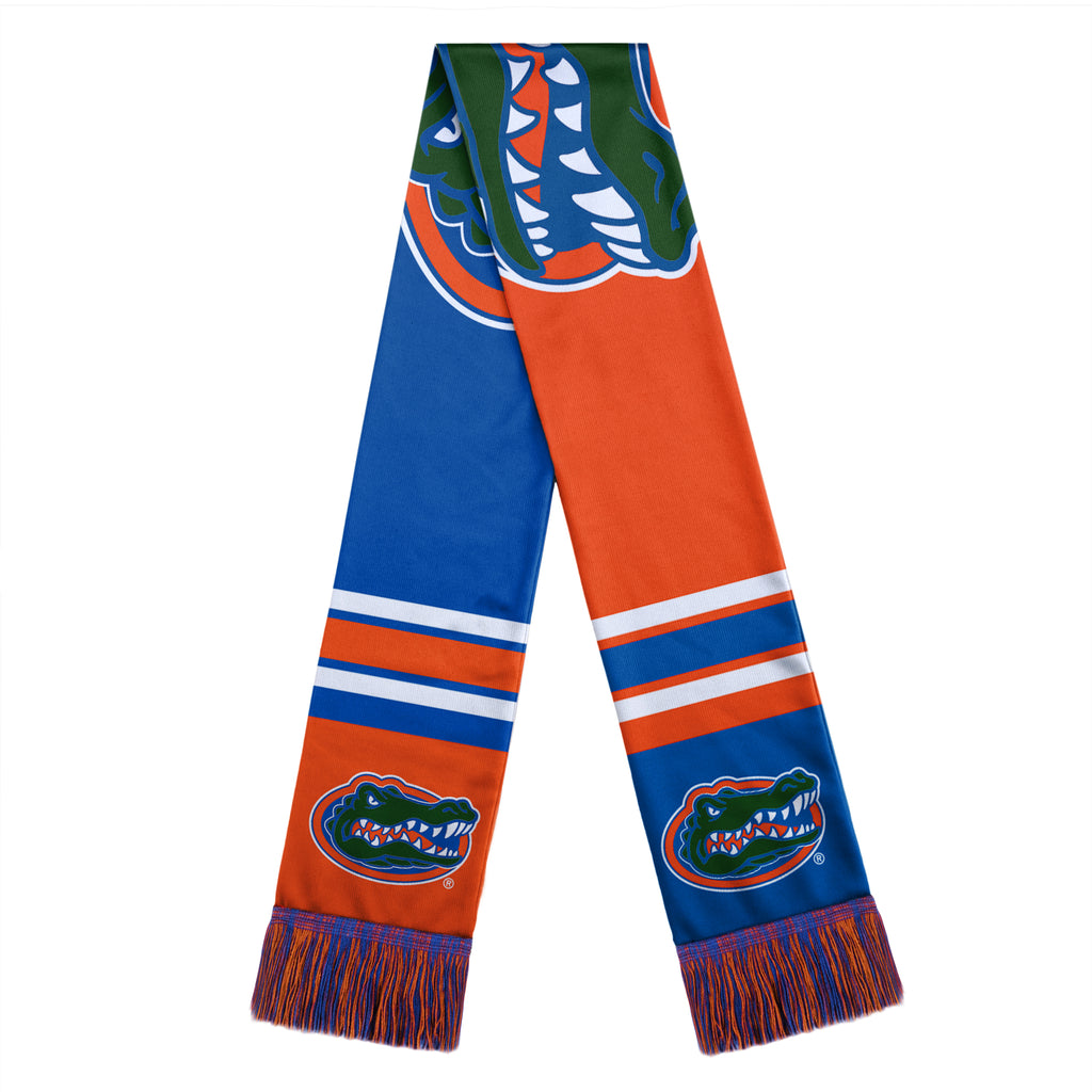 Florida Gators Color Block Big Logo Scarf