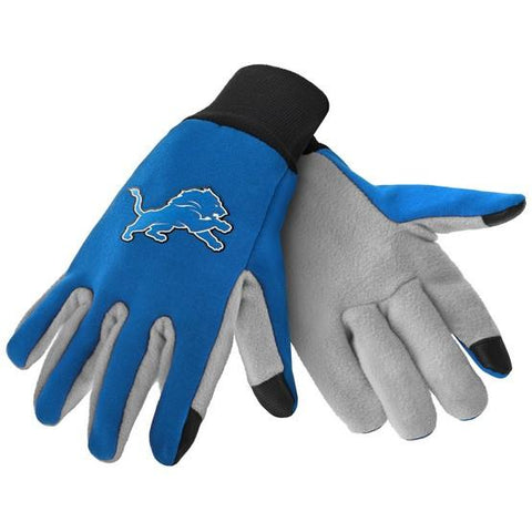 Detroit Lions Color Texting Gloves
