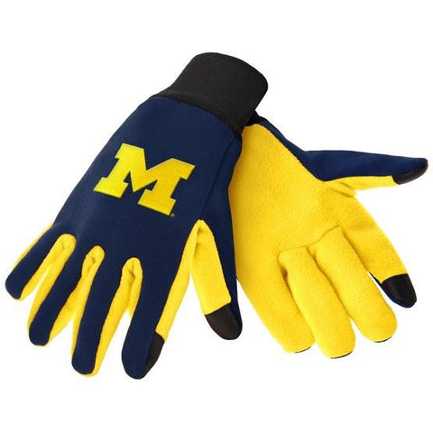 Michigan Wolverines Color Texting Gloves