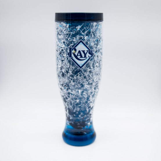 Tampa Bay Rays Color Freezer Pilsner