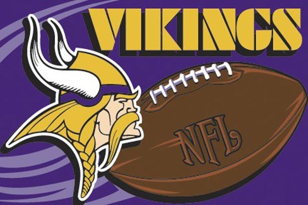 Minnesota Vikings 20" x 30" Rug