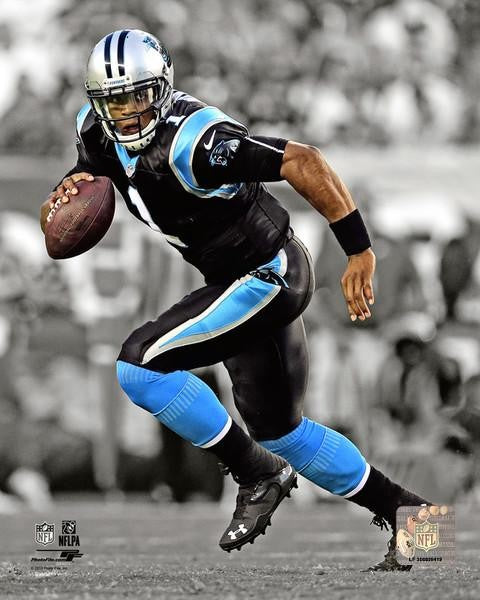 Carolina Panthers Canvas Sportswrap