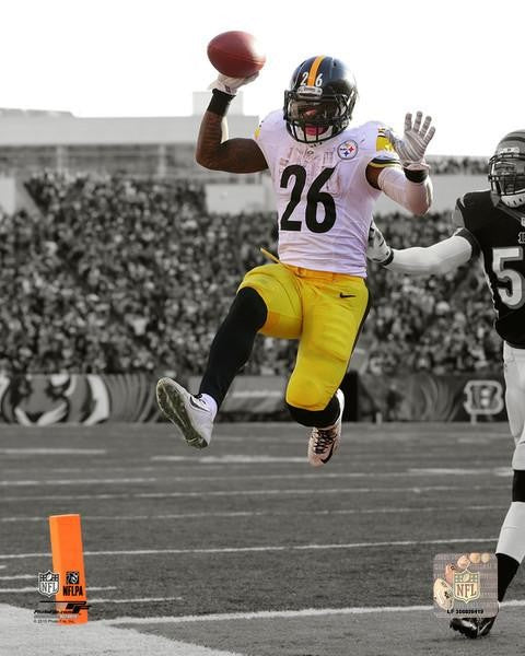 Pittsburgh Steelers Canvas Sportswrap